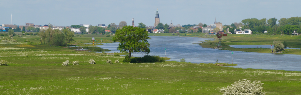Een afbeelding van de Tichelbeeksewaard met groene weides aan weerszijden en een dorp in de achtergrond. 